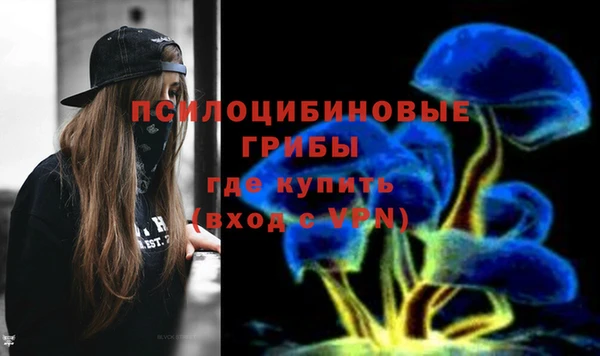 ПСИЛОЦИБИНОВЫЕ ГРИБЫ Балабаново