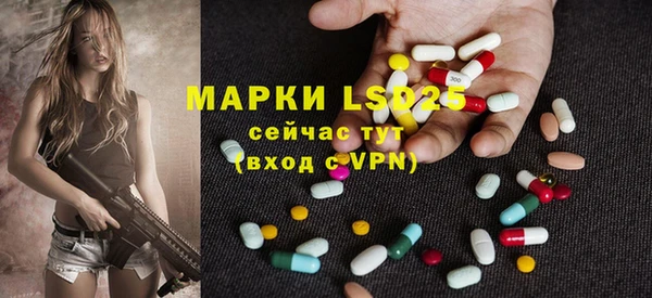 спиды Аркадак